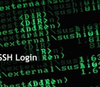 promt-ssh-blog-de-hostalia-hosting